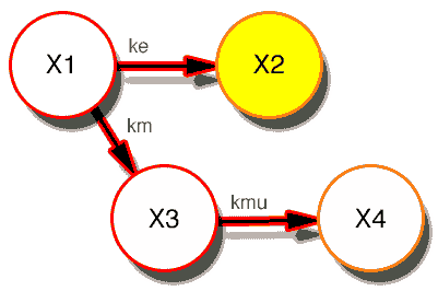 Model with X2 highlighted