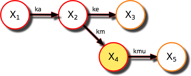 Model with X3 highlighted