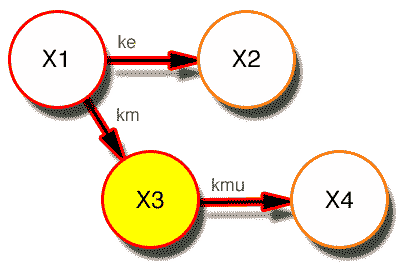 Model with X3 highlighted