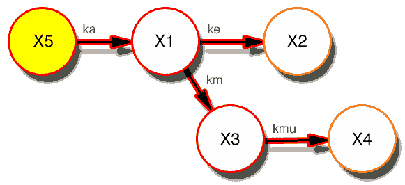 Model with X5 highlighted