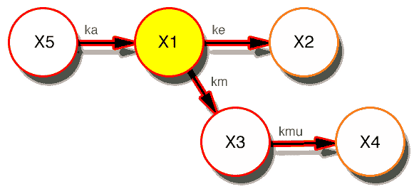 Model with X1 highlighted