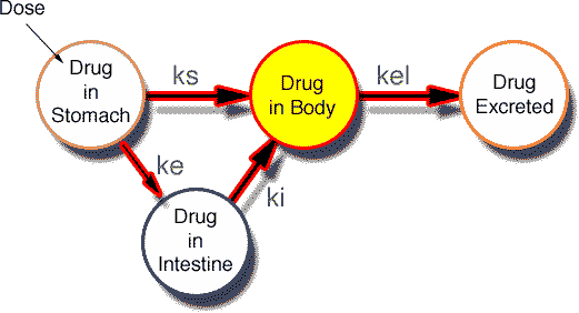Model with X3 highlighted