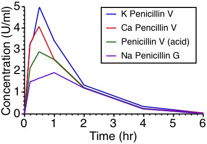 Absorption of Different Salt Forms