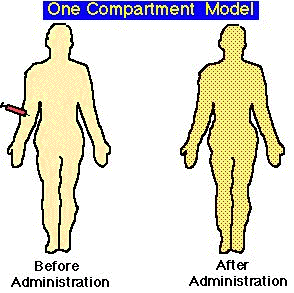 IV Bolus Dose - One Compartment