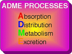 A(bsorption) D(istribution) M(etabolism) E(xcretion)