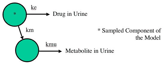 Identifiable parameters