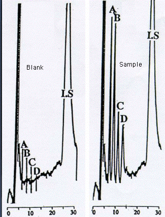 Example chromatogram