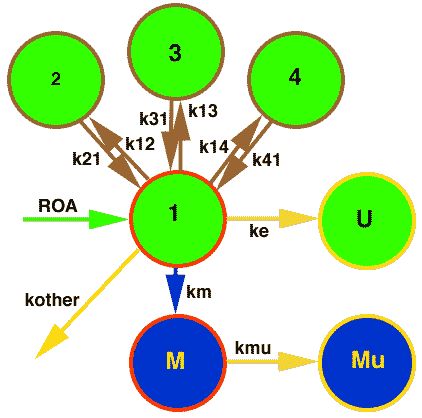 Multicompartment model