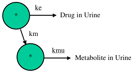 Diagram representing and IV Administration, One Compartment Model with Metabolism