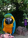 img_3872.jpg