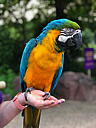 img_3873.jpg