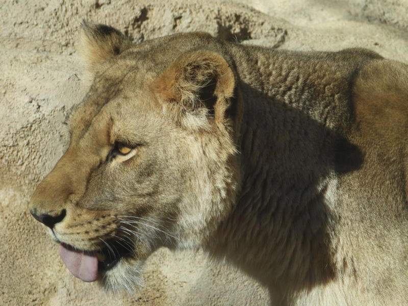 dscn3038.jpg