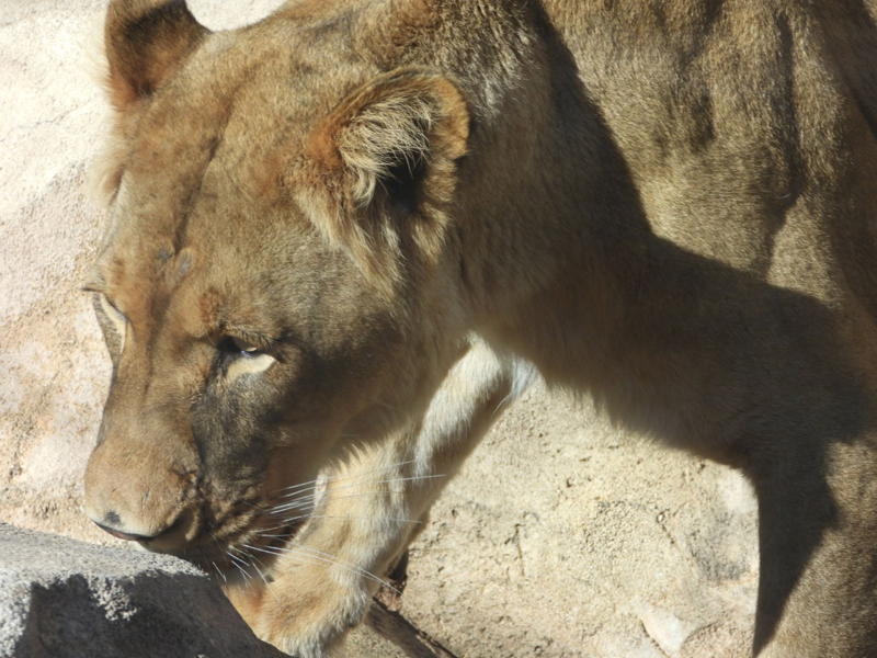 dscn3043.jpg