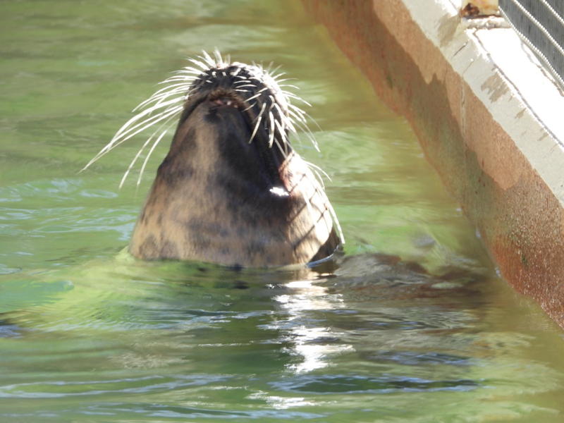 dscn3051.jpg