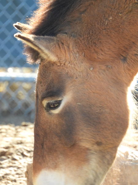 dscn3059.jpg
