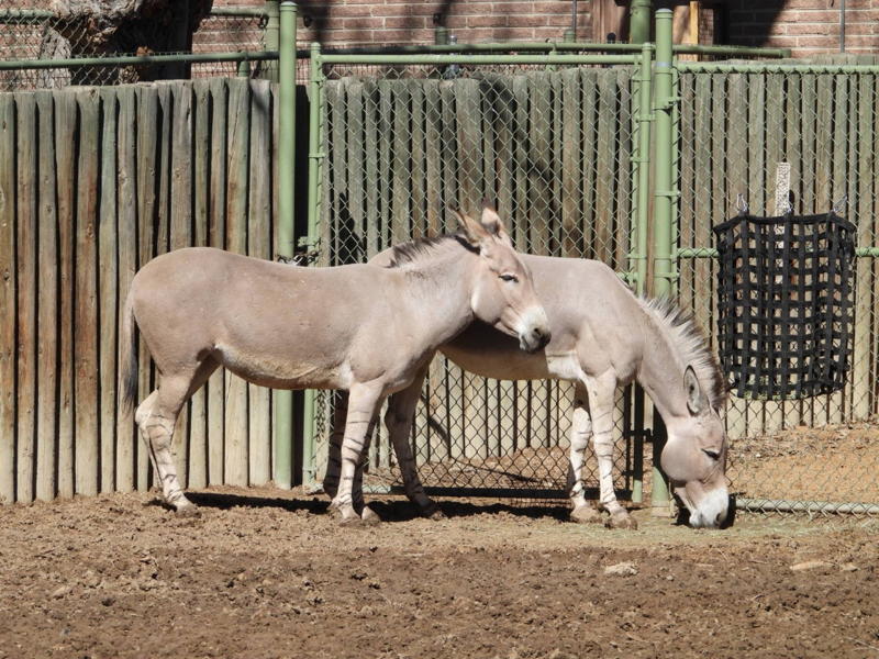 dscn3248.jpg