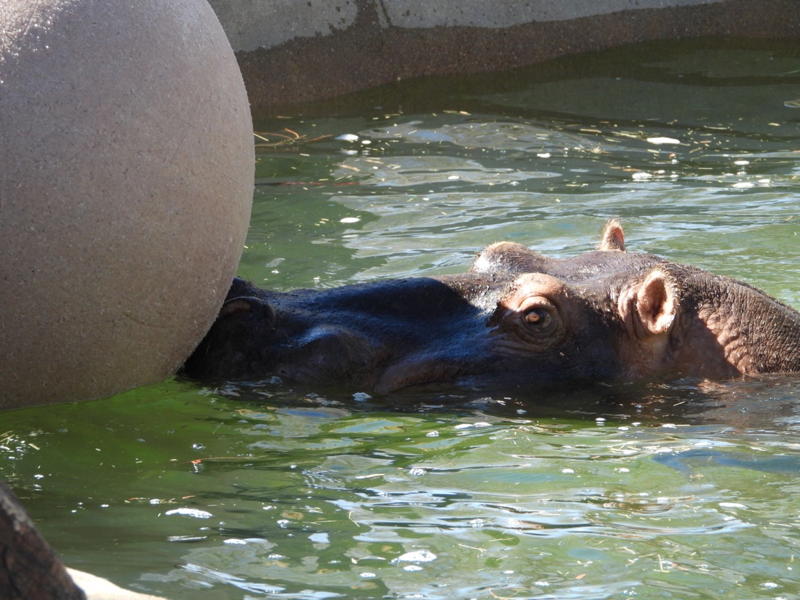 dscn3264.jpg