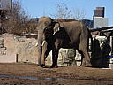 dscn3067.jpg