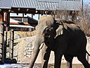 dscn3069.jpg