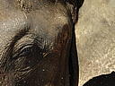 dscn3074.jpg