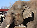 dscn3080.jpg