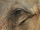dscn3083.jpg