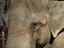 dscn3084.jpg