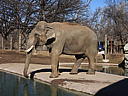 dscn3086.jpg