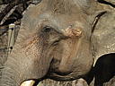 dscn3087.jpg