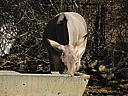 dscn3089.jpg