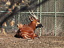 dscn3095.jpg