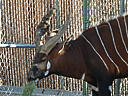 dscn3099.jpg