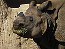 dscn3122.jpg