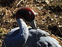 dscn3126.jpg