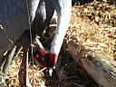 dscn3129.jpg