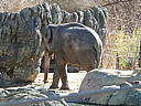 dscn3137.jpg