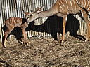 dscn3141.jpg