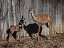 dscn3142.jpg
