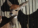 dscn3143.jpg