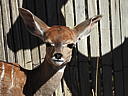 dscn3144.jpg