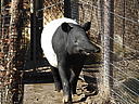 dscn3150.jpg