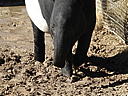 dscn3151.jpg