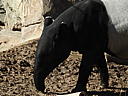 dscn3153.jpg