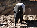 dscn3155.jpg