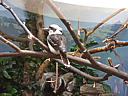 dscn3161.jpg