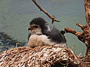 dscn3162.jpg