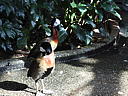 dscn3174.jpg