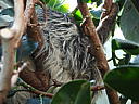 dscn3176.jpg