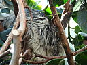 dscn3178.jpg