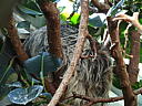 dscn3179.jpg